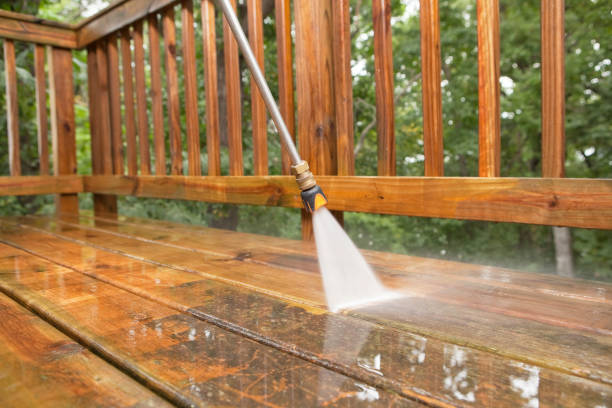 Animal Enclosure Cleaning in Nashville, AR